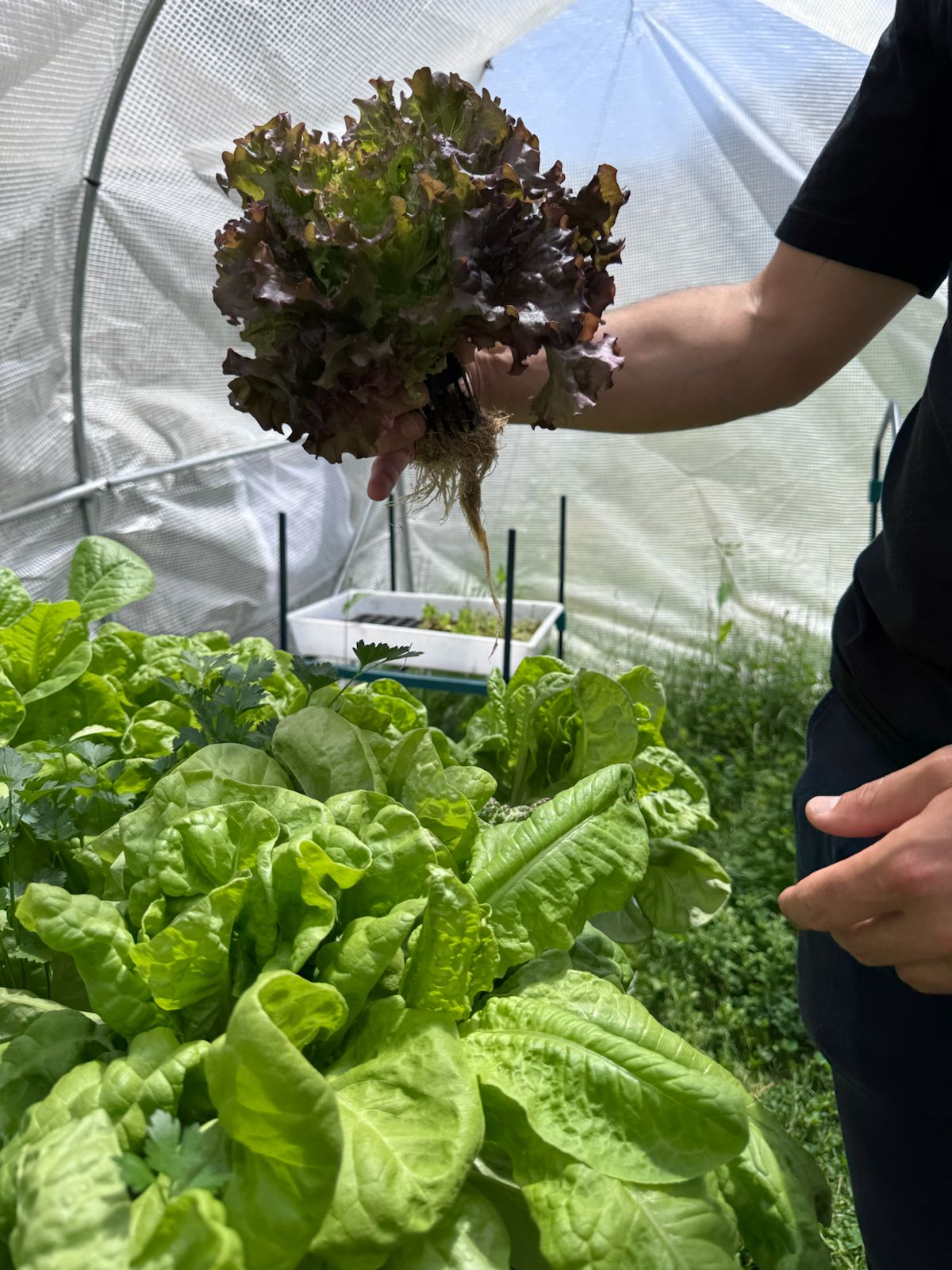 WhatsApp Image 2025-07-16 at 17.19.18